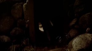 Американи куркитган ЛОБО Бурилар тудаси