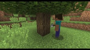 Minecraft : The Dark Forest : #1