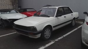 Peugeot 505.