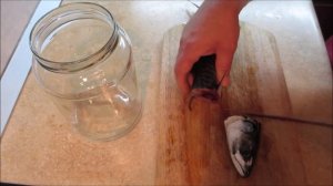 Как посолить скумбрию вкусно и быстро. Скумбрия пряного посола в домашних условиях