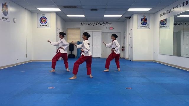 4th Lents Taekwondo - Female Cadet BB Teams - Final 2 (TG 4) смотреть онлайн