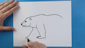 How to Draw a POLAR BEAR!!!