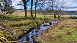 The best BEEF🥩 I've ever had without a doubt, check out this recipe you'll thank me later😉ASMR