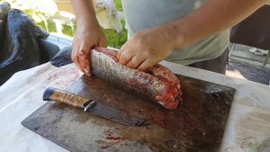 Как разделать змееголова (Мастер-класс) способ 2 (Самый лучший!)