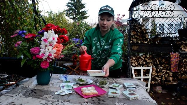 Микрозелень за неделю это реально! Как посеять? Советы по выращиванию