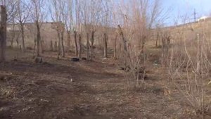 Прогулка 1 апреля вдоль набережной Жезказгана