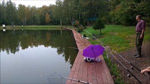 Раздача осетра на Нижнем началась. Клёвое место, Лосиный остров