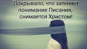 Проповедь  "Смотрим в книгу  - видим"... -  Киссер Виталий