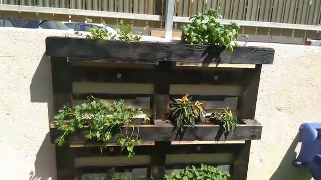 Новый парфюм?,ленивый тортик? смотреть онлайн