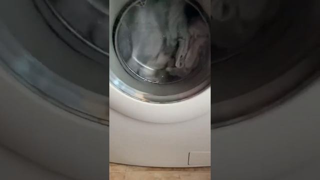 Zanussi final rinse