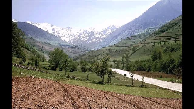 Free - fender stratocaster -Laney cub 12r - ibanez echo shifter смотреть онлайн