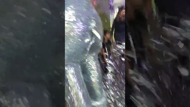 ДЕНЬ РОЖДЕНИЯ ВАСИЛИСЫ!!! смотреть онлайн