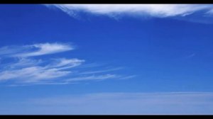 Галина Ненашева - Синева