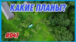 Купил заброшенный хутор. Ударный вечер на хуторе. #хочувдеревню #хутор