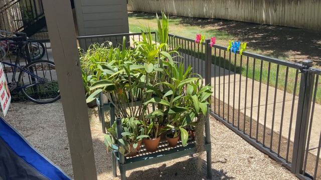 New Grow Space - Apartment #2 смотреть онлайн