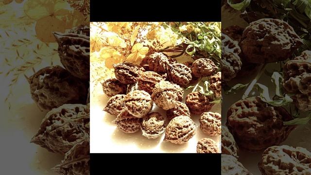 Маньчжурский орех. Полезные и вредные свойства. смотреть онлайн