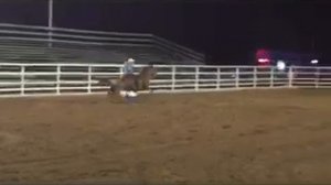 Ashland, MO Pro Rodeo. August 2017. Kelsi and Crackle.