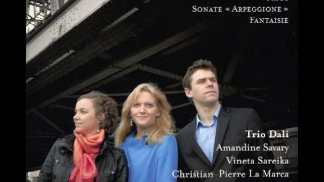 Piano Trio No.2 in E flat major, D 929 (op.100) - II. Andante con moto смотреть онлайн