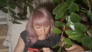 Проект Грядущий царь.Царь "Криптовалюта".#Мессия#Машиах#Махди#Великий Гончар