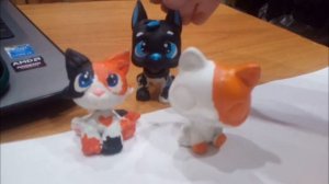 переделываю старый ооак на кошку lps/Hadesu inu