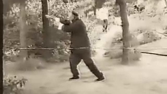 Старое тайцзи