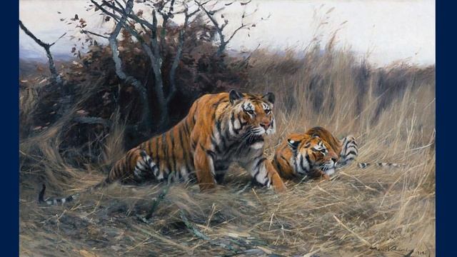 Мини презентация. Тигры смотреть онлайн
