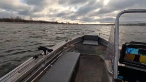 Лодка Wyatboat 390С и мотор Gladiator 9.9.
