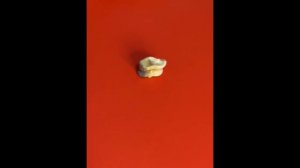 Хуулгаазын кажыктарым