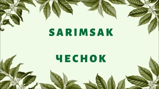 Турецкий язык для начинающих. Sebzeler. Овощи. Турецкий словарь.