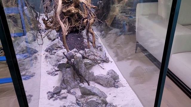 Запуск аквариум 800л. Декор аквариума из коряг и камня. Хардскейп. Природный аквариум. Акваскейп.