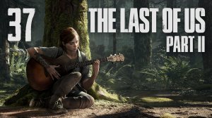 The Last of Us 2 / Одни из нас 2 - Сиэтл, день 2 - Серафиты ч.5 - Прохождение [#37] | PS4 (2020 г.)