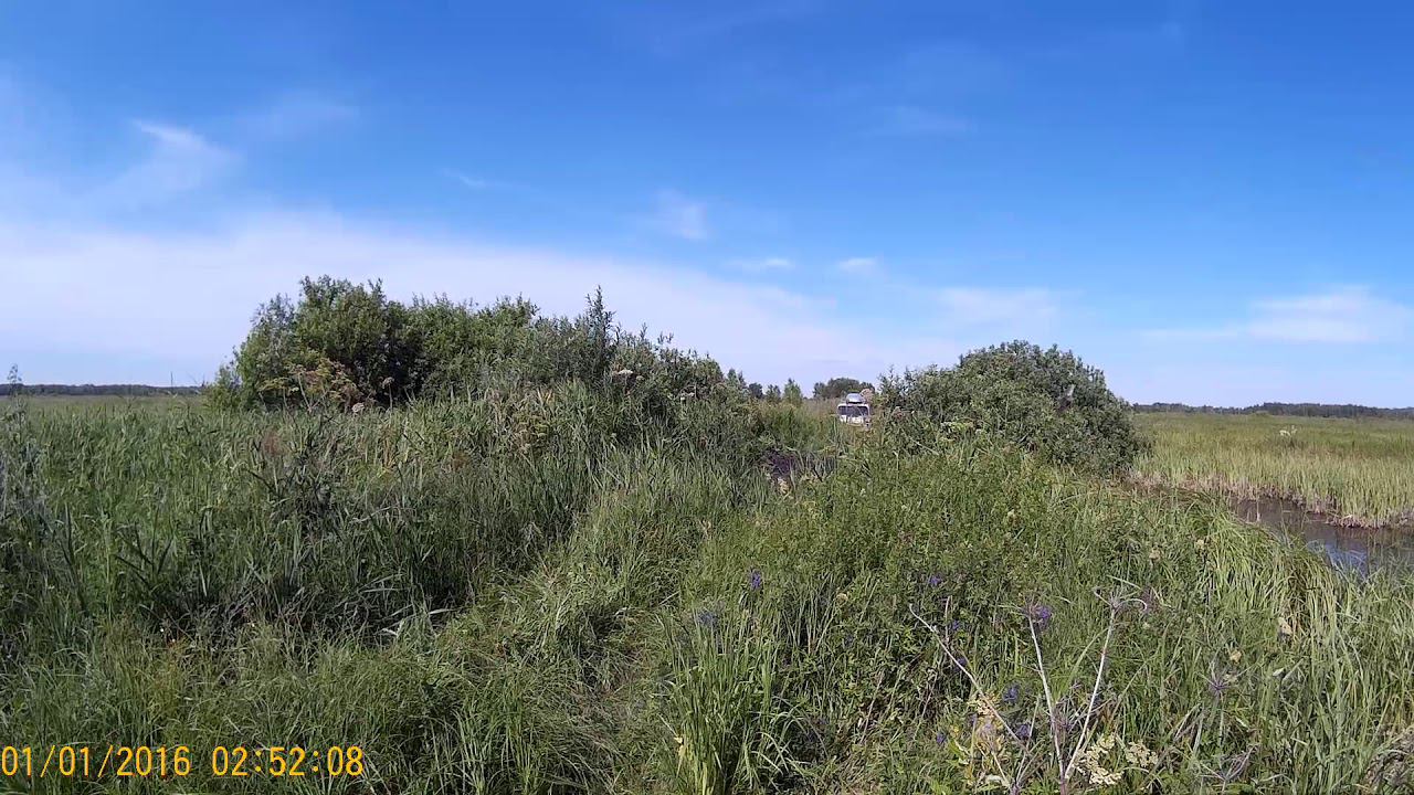 Мелкий бродик смотреть онлайн