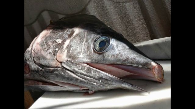 Ormos Panagias 2016 смотреть онлайн