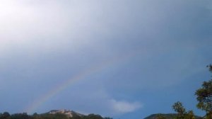 Соколиное-2016  Прогулки по окрестностям