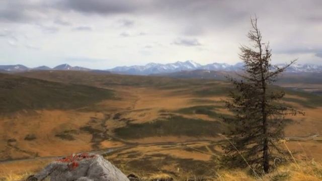 Окрестности озера Ильчир, Бурятия смотреть онлайн