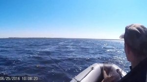 Рыбалка на лимане курячем  на лодке адмирал 375 двоих в глиссер против ветра и волн