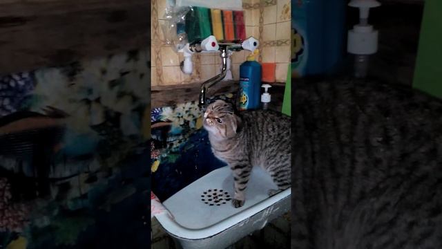 Сушняк после нового года смотреть онлайн