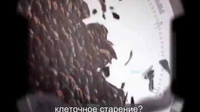 Омоложение на клеточном уровне Финити Смотреть всем