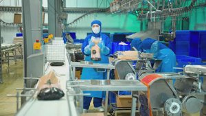 Птицефабрика