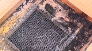 «Почему в ваших ульях нет вентиляции?» Показываем и отвечаем