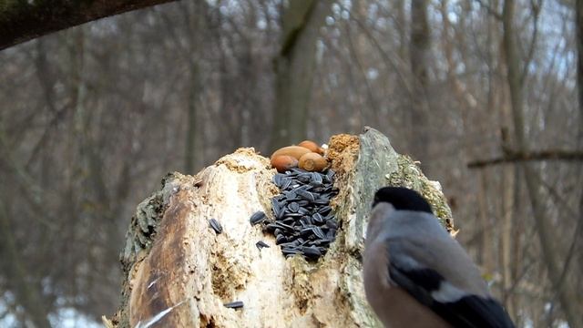 Изучал спрос