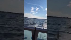 Прогресс Honda BF-40, Мирское море.