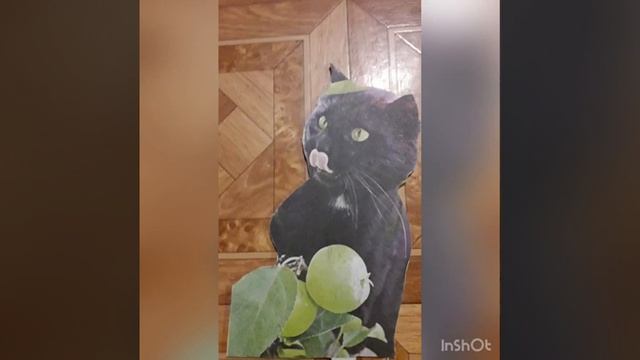 выпиливание из дерево, поделки, сказка,подарки смотреть онлайн