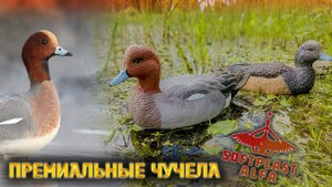 Обзор премиальных чучел свиязь Softplast ALFA AV-6