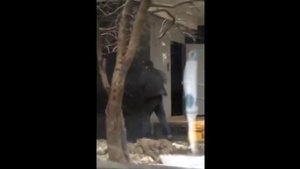 Сколько пинчеров на базе? или гаишник в теме