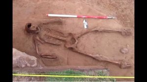 Пришелец или циклоп: археологи нашли кости странного существа