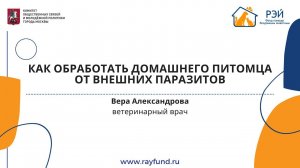 Как обработать домашнего питомца от внешних паразитов