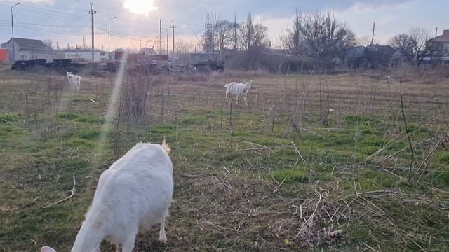 Пришла проблема откуда не ждали... смотреть онлайн