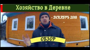 ОБЗОР ХОЗЯЙСТВА в ДЕРЕВНЕ - ДЕКАБРЬ 2018 // КУРЫ НЕСУШКИ, ИНДЮКИ, ПЕРЕПЕЛА