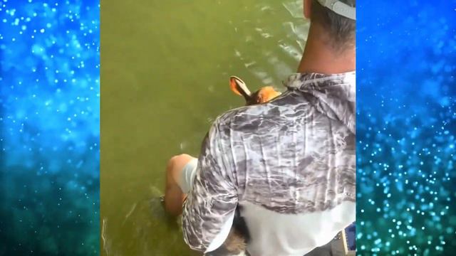 Рыбаки услышали СТРАННЫЕ звуки в воде! Присмотрелись и решили подойти ближе! смотреть онлайн